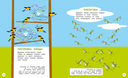 Туканы, синицы и другие птицы. Весёлые задачки — фото, картинка — 4