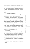 Летнее утро, летняя ночь — фото, картинка — 13