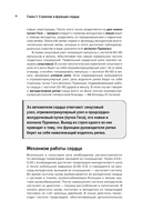 Современная кардиохирургия взрослых — фото, картинка — 11