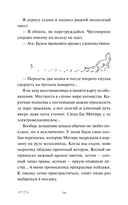 Рыжий кот Фута из кафе между мирами — фото, картинка — 12