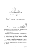 Рыжий кот Фута из кафе между мирами — фото, картинка — 5