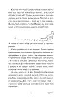 Рыжий кот Фута из кафе между мирами — фото, картинка — 7