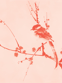 Фэн-шуй для вашего дома и интерьера — фото, картинка — 10