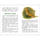 Пушок — фото, картинка — 1