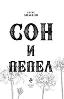 Сон и Пепел — фото, картинка — 3