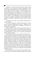 Домик тетушки лжи — фото, картинка — 7