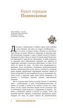 Подмосковье. Прогулки по городам — фото, картинка — 4