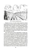 Живая математика. Занимательная алгебра — фото, картинка — 18