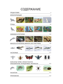 Красная книга Республики Беларусь. Животные — фото, картинка — 1