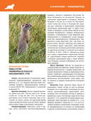 Красная книга Республики Беларусь. Животные — фото, картинка — 5