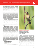 Красная книга Республики Беларусь. Животные — фото, картинка — 7