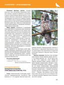 Красная книга Республики Беларусь. Животные — фото, картинка — 8