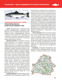 Красная книга Республики Беларусь. Животные — фото, картинка — 10