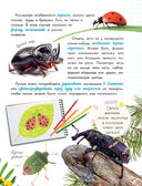 Удивительные насекомые — фото, картинка — 7