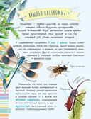 Удивительные насекомые — фото, картинка — 10