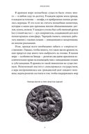 Древняя магия. От драконов и оборотней до зелий и защиты от тёмных сил — фото, картинка — 5