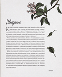 Больше чем шарлотка. Рецепты завтраков, выпечки, десертов, напитков и заготовок из яблок — фото, картинка — 5