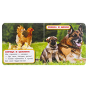 Мамы и малыши — фото, картинка — 1