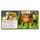 Мамы и малыши — фото, картинка — 2