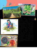 Много вопросов. Много ответов — фото, картинка — 12