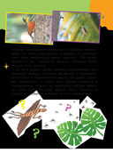 Много вопросов. Много ответов — фото, картинка — 9