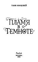 Пламя в темноте — фото, картинка — 8