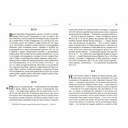 Лица святых от Иисуса к нам. Святая Жанна и третье царство духа — фото, картинка — 2