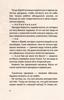 Ловцы иллюзий. Том 2. Подозрительный блогер — фото, картинка — 12