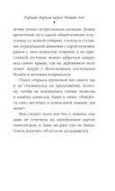 Горная дорога через Новый год — фото, картинка — 13