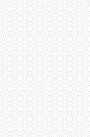 Малабарские вдовы — фото, картинка — 7