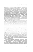 Легенды и мифы Невского проспекта — фото, картинка — 13