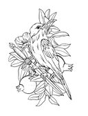 Алхимия времени. Раскраска-медитация — фото, картинка — 3