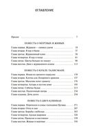 Дракон и карп. Кукла-талисман. Книга 1 — фото, картинка — 24