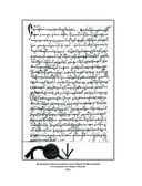 Исторические портреты — фото, картинка — 39