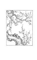 Пять женщин, предавшихся любви. История любовных похождений одинокой женщины — фото, картинка — 4