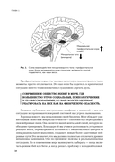 Нейроброня. Новый взгляд на работу мозга в условиях тревожного мира — фото, картинка — 11