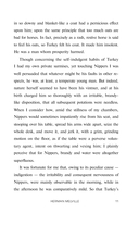 Bartleby, The Scrivener — фото, картинка — 11