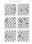 Шахматы с енотом. Рабочая тетрадь № 3 — фото, картинка — 5