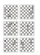 Шахматы с енотом. Рабочая тетрадь № 3 — фото, картинка — 8