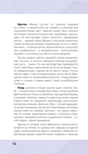 Лечебные травы. Иллюстрированный справочник-определитель — фото, картинка — 11