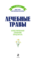 Лечебные травы. Иллюстрированный справочник-определитель — фото, картинка — 2