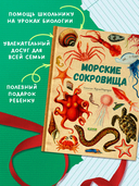 Удивительные энциклопедии. Морские сокровища — фото, картинка — 5