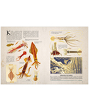 Удивительные энциклопедии. Морские сокровища — фото, картинка — 10