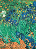 Ван Гог. Жизнь и творчество в 500 картинах — фото, картинка — 6