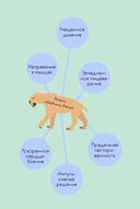 Книга любви к себе — фото, картинка — 18