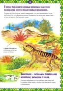 Динозавры. Первая энциклопедия — фото, картинка — 2
