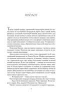 Собиратели ракушек — фото, картинка — 6