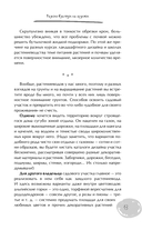 Дачный участок с умным подходом. С чего начать и как организовать участок без ошибок — фото, картинка — 12