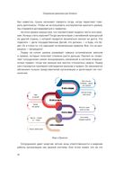 Спиральная динамика для бизнеса — фото, картинка — 35