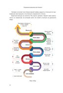 Спиральная динамика для бизнеса — фото, картинка — 49